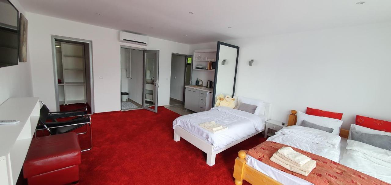 Modern rooms Colibiţa Buitenkant foto